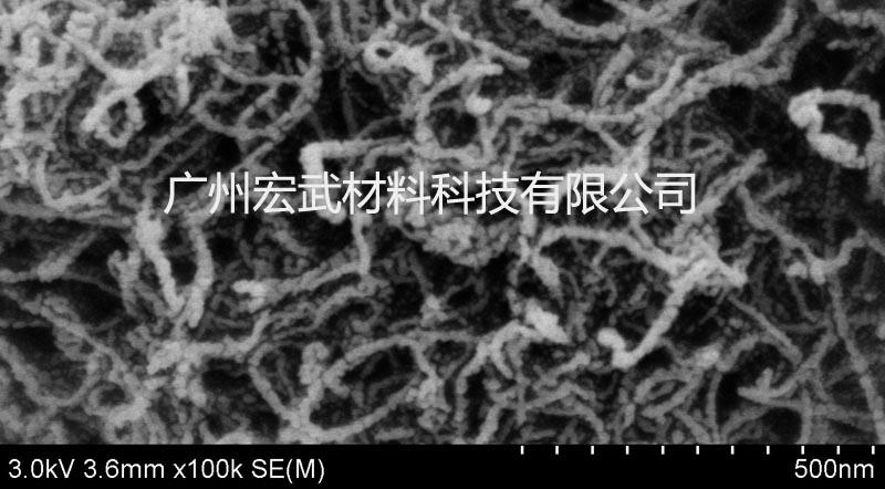 掺氮单壁碳纳米管SEM