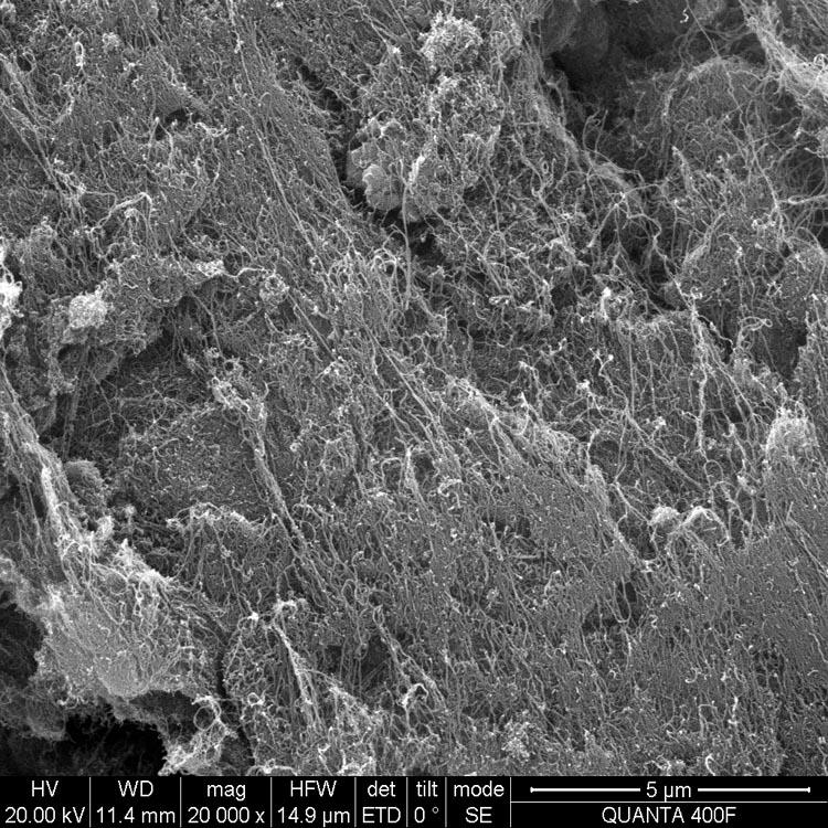 石墨化单壁碳纳米管